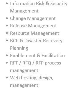 Information Risk & Security Management Change Management Release Management Resource Management BCP & Disaster Recovery Planning Enablement & Facilitation RFT / RFQ / RFP process management Web hosting, design, management